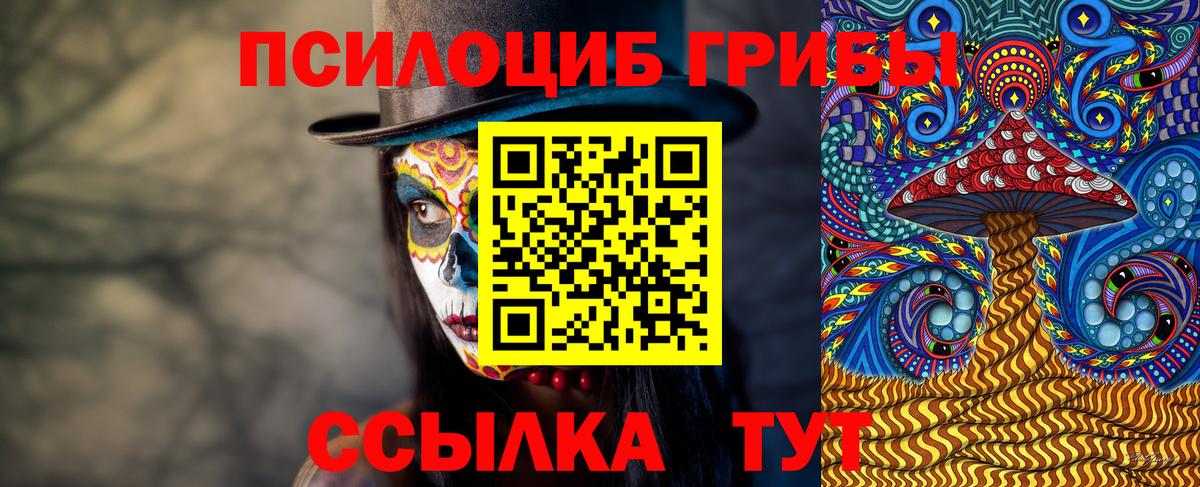 Чебаркуль  Псилоцибиновые грибы ЛСД  Вход с VPN  Галлюциногенные грибы Psilocybe 